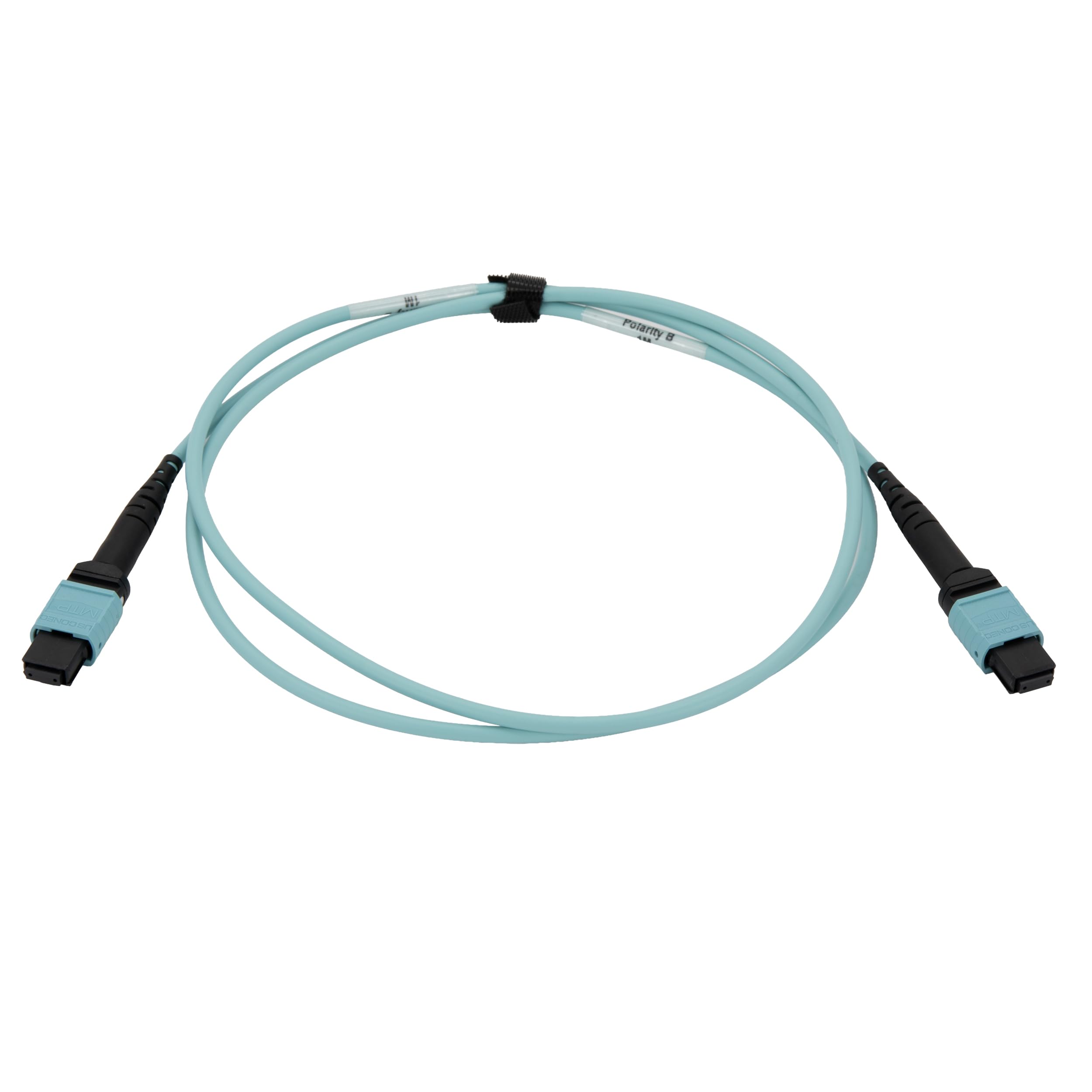 Cable Wholesale Plenum Fiber Optic Cable, MTP / MTP (MPO