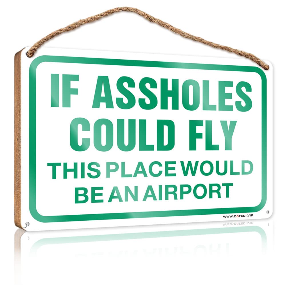 FZFN Door Sign For Bedroom If Assholes Could Fly This Place Would Be An Airport Wooden Sign Wall Hanging Decor Sayings Farmhouse Bathroom Sign(23X35CM)