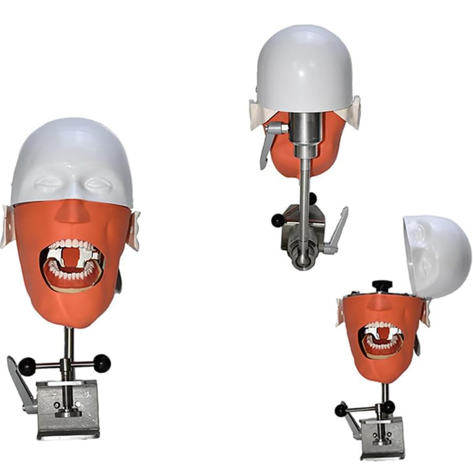 Dentalsimulator Phantomkopf-Training,Dentalpuppe,Phantomkopf-Dentalsimulator-Einheit mit Tischmontage,sicher und geruchlos,für Zahnmedizin und Zahntechnik