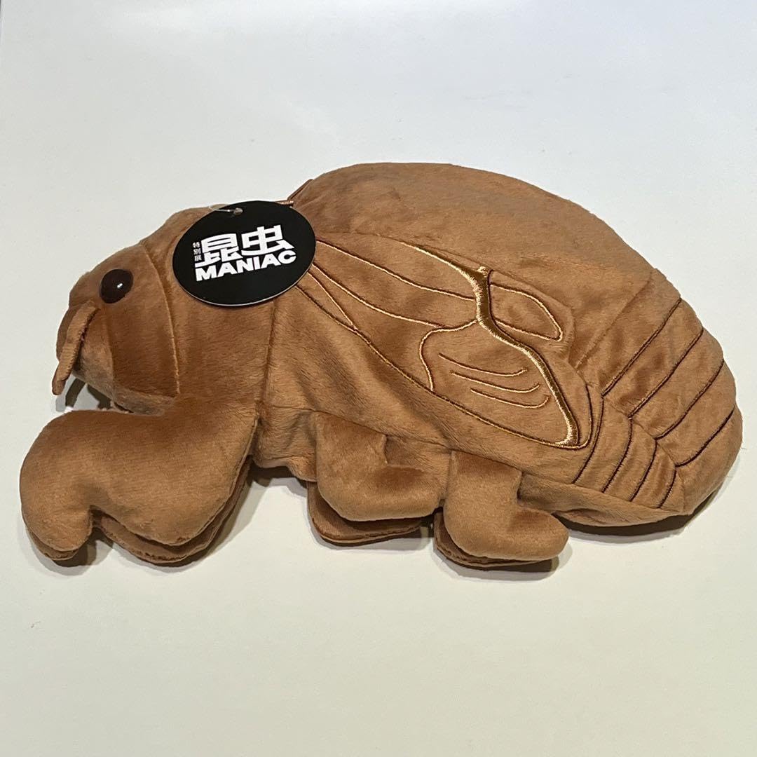 Amazon.co.jp: 昆虫MANIAC マニアック セミの抜け殻からセミ