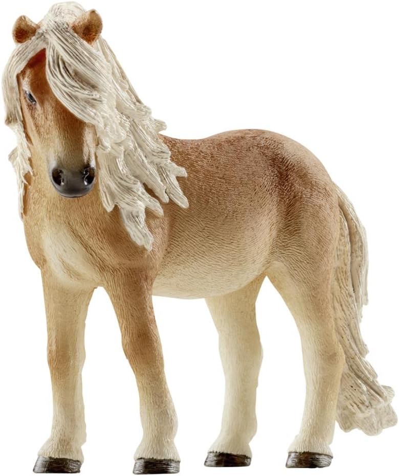 Icelandic Pony mare