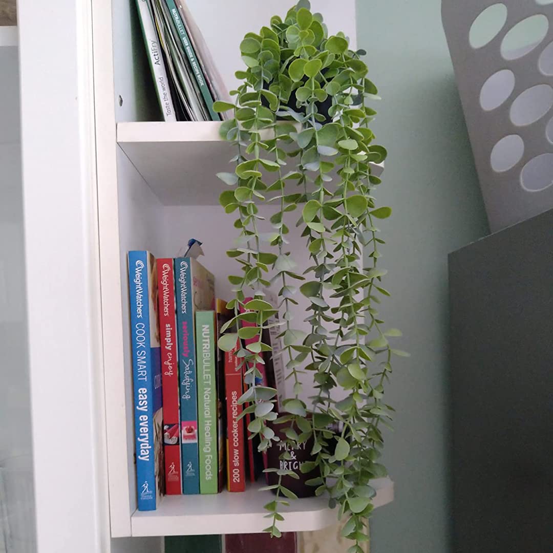 Mr. Bom Künstliche Eukalyptus Hängepflanze – 50 Cm Hoch, Mit Topf, Für Innen- Und Außendekoration
