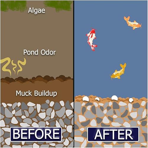 Miniatura 6 de Muck Remover GP - 150 pellets  Removedor de lodos de estanque Koi  Seguro para peces  Trata 5,000 galones hasta 5 meses