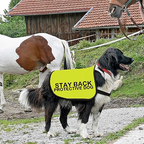 Zuo Bao Schutzweste für Hunde, Größe M, Gelb, Verbundstoff, Warnung/Angst, Erwachsene, Winter, Handwäsche