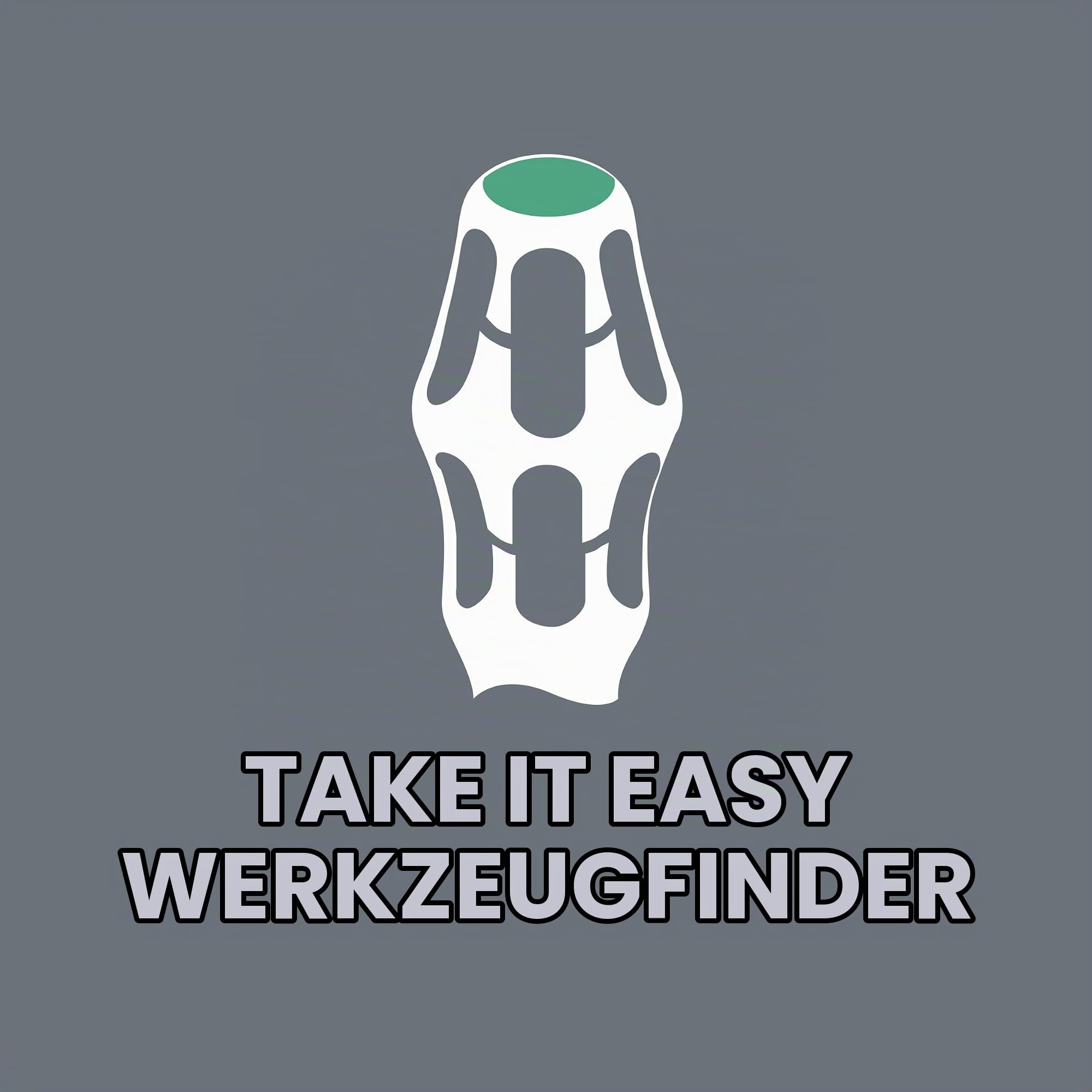 Wera 05134023001 Eisbrecher, Edelstahl Schraubendreher Satz mit Eiskratzer-Handschuh, 32-teilig