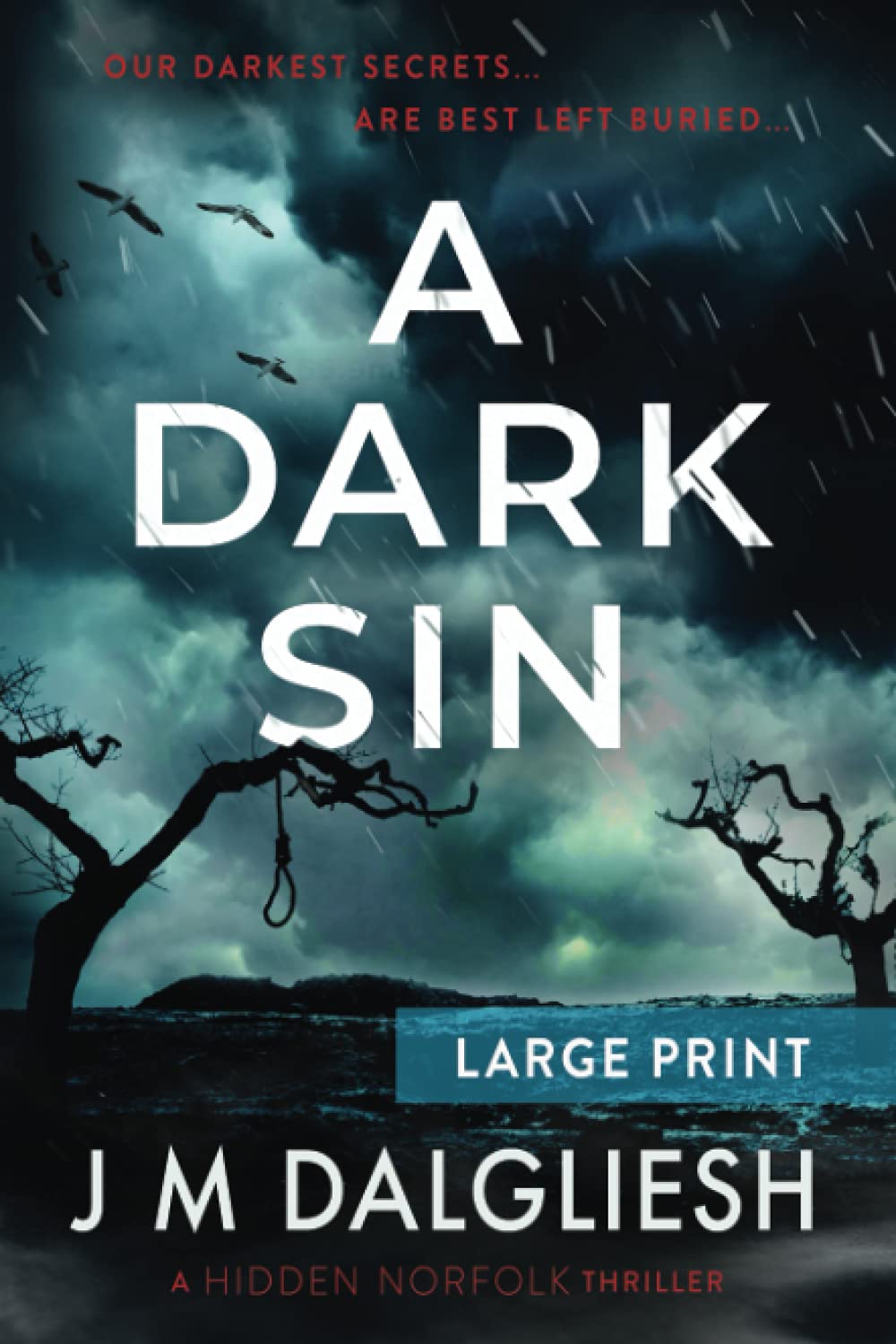 A Dark Sin (Large Print): 8 (Hidden Norfolk)