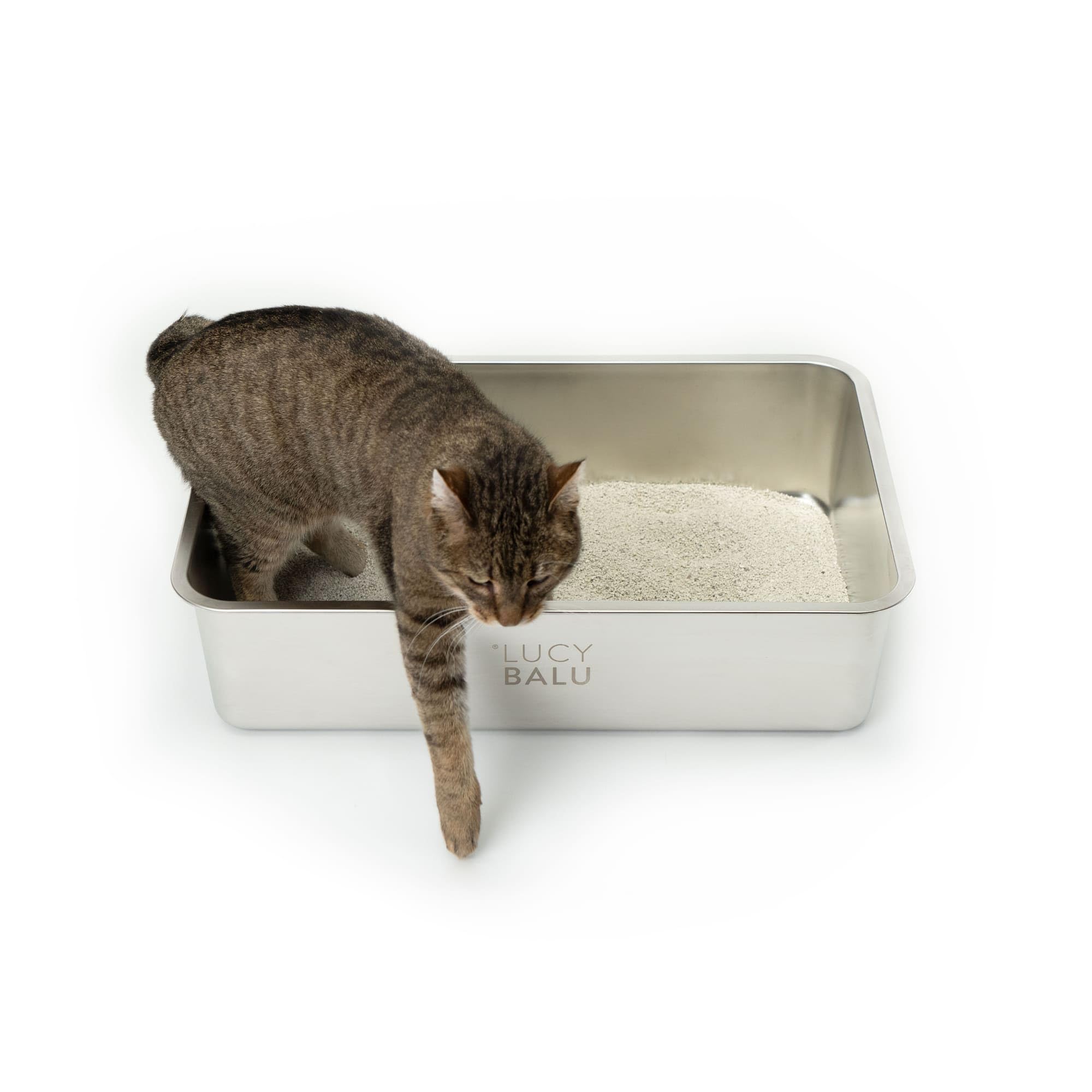 LucyBalu® Steeloo Litière Chat XXL bassine Acier Inoxydable sans Couvercle