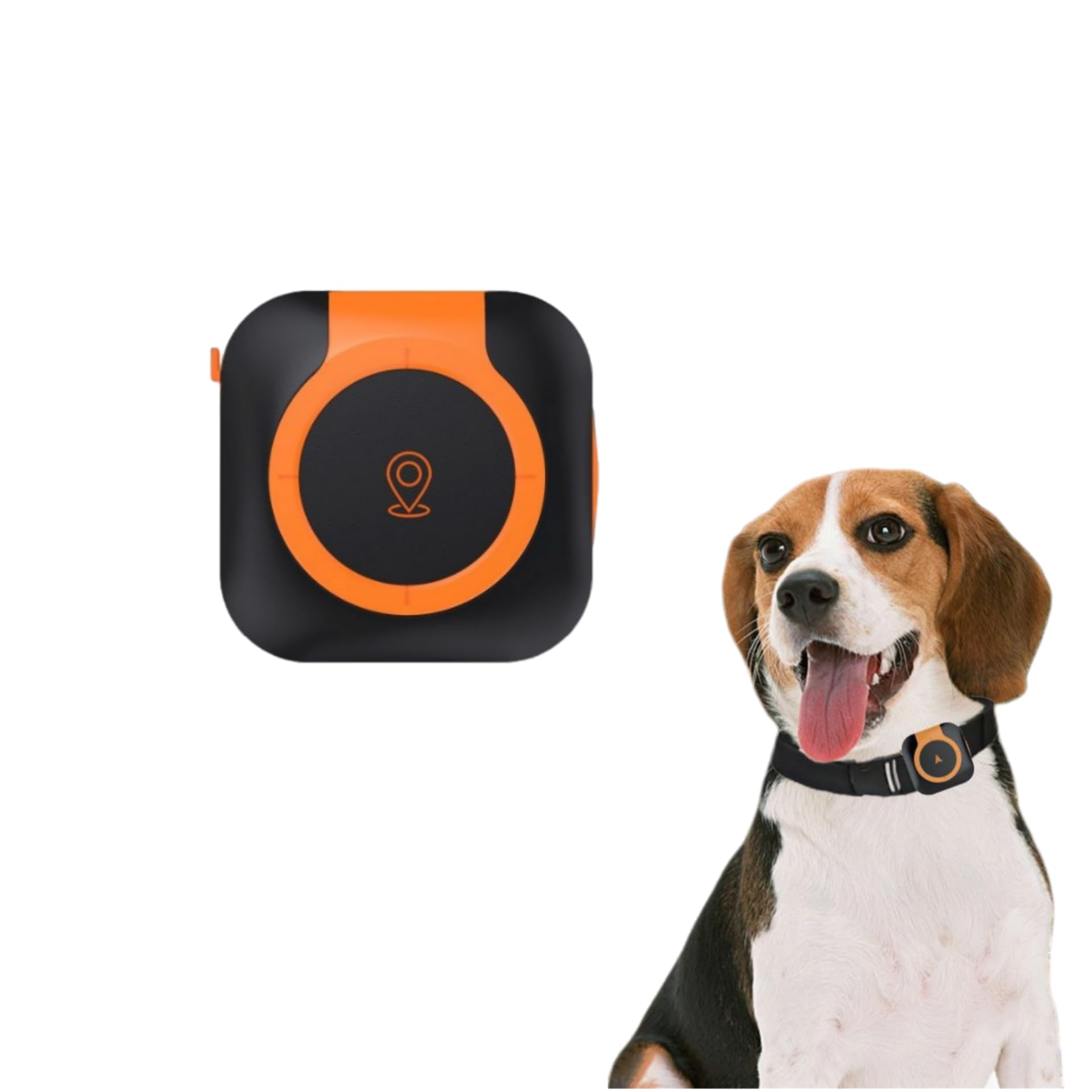 Collier de suivi GPS en temps réel pour chiens et chats, gestion de la santé, compatible iOS/Android, étanche IP67, localisateur de sécurité anti-perte pour animaux de compagnie de petite et grande
