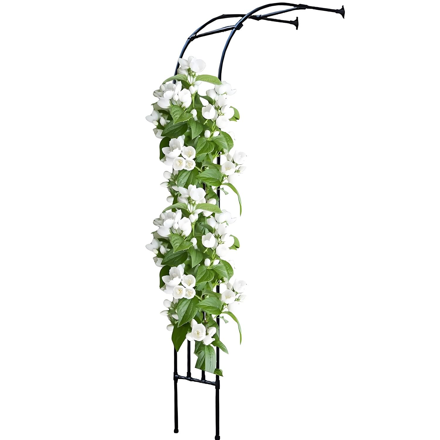 Demi-côté Grande Arche de Jardin en métal, Arche de rosiers, Robuste tonnelle en métal Rosiers Treillis pour Plantes grimpantes, Support de décoration de Jardin 120x240/240x240/300x240cm(Black,1.5X2.4