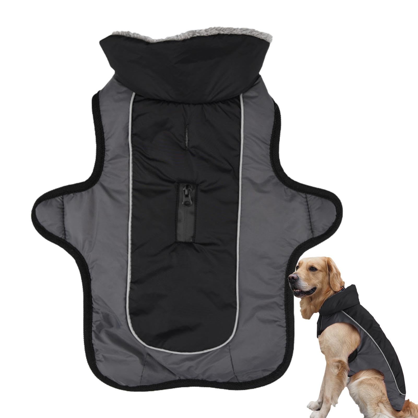 Manteau pour chien par temps froid évitant les frissons et sécurisant les sorties de nuit