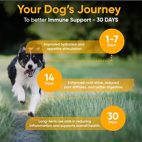 Miniatura 2 de iHeartDogs Caldo de huesos para perros – Caldo de huesos y hongos en polvo dorado suplemento para apoyo del sistema inmunológico, movilidad y