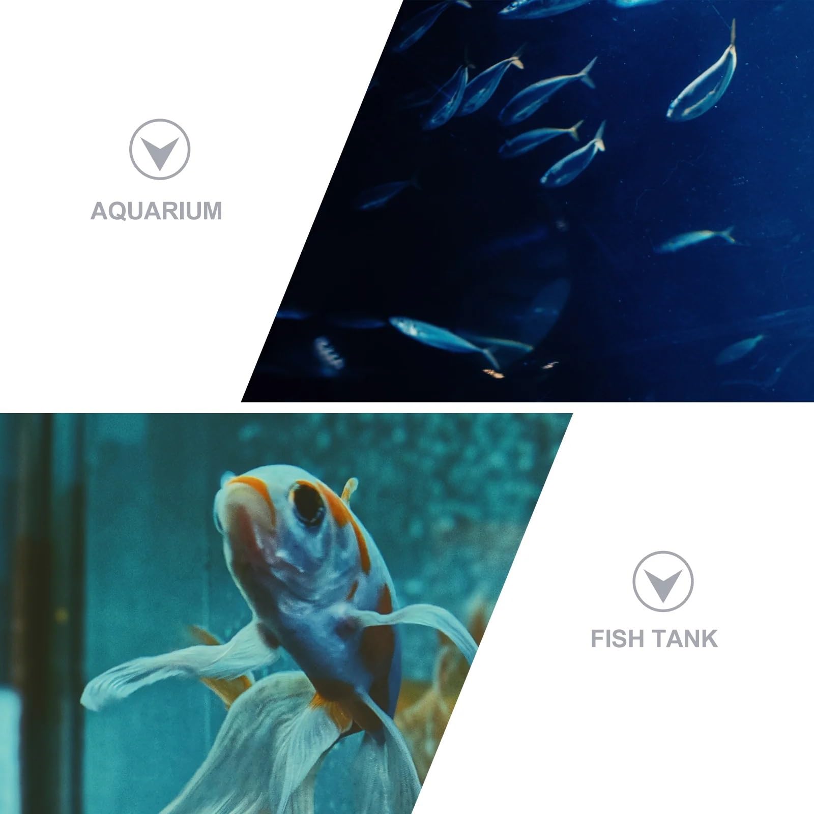Teleskop Fischerei Landung, Teleskop-Fischkescher, tragbares Fangfreisetzungsnetz, zusammenklappbares schwimmendes Mesh-Baumwoll-Dip-Netz, Angelbedarf, Fischernetz