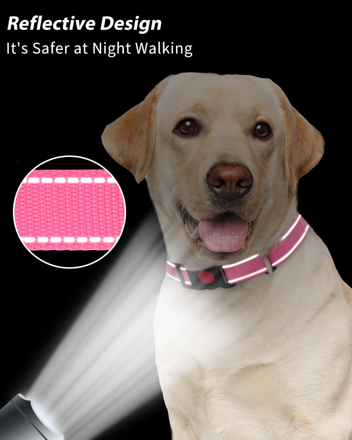 Cunno Martingale-Halsband Für Mittelgroße Hunde – Reflektierendes Nylon-Halsband, Verstellbar 35-48 Cm, Mit Robuster Metallschnalle, 12 Stück Set