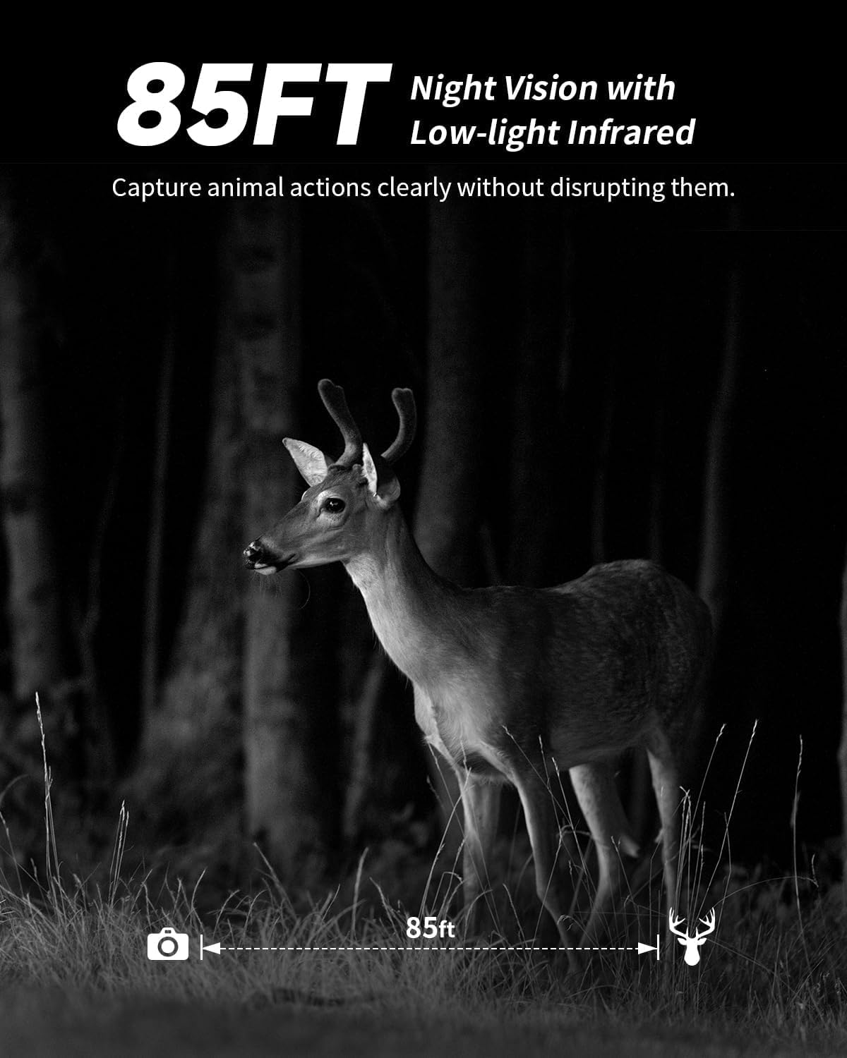 Pack de 2 Cámaras Fototrampeo Solar 4G LTE con SIM, sin WiFi, Batería 10400 mAh, Visión Nocturna Infrarrojos Invisible 950nm, Audio 2 Vías, Activación 0,2s, IP66
