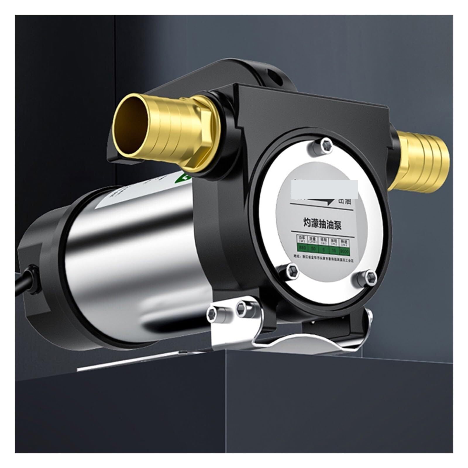 Pompa del carburante, Pompa Carburante, Elettrica 12V/24V/220 E Indietro, Erogatore DC Autoadescante 50L/min 580W,per auto(12V forward reverse)