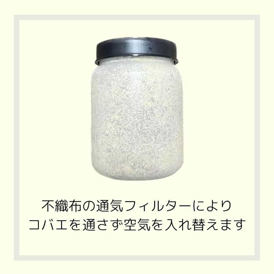 Amazon | 【3個セット】ブリーダーズ・ファーム 菌糸ビン 大夢C