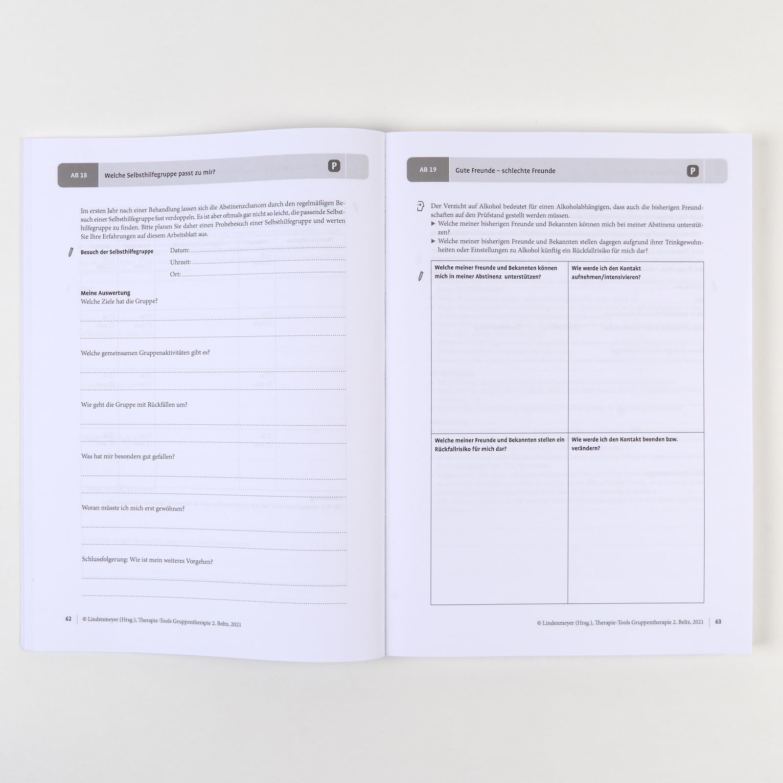 Therapie-Tools Gruppentherapie 2: Alkoholabhängigkeit, Angststörungen, Arbeitstherapie, Genusstraining, Männliche Sexualität und Partnerschaft, ... Stress am Arbeitsplatz. Mit Online-Material