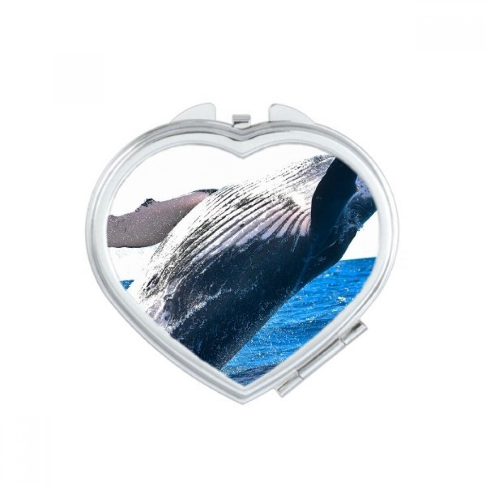 Miroir de poche motif baleine un cadeau fait main mignon unique