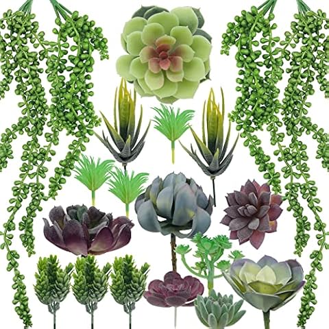 Woohome Künstliche Sukkulenten Pflanzen, 20 Stück Sukkulenten Künstlich Unfotted Faux Blume Sukkulenten Künstlich Gemischte Farben Fake Sukkulenten Picks für Zuhause Büro und Party Dekoration Cover
