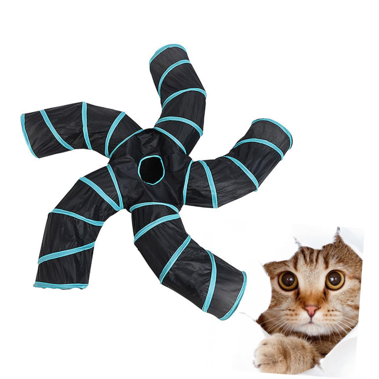 Happyyami Tunnel pour Chats Pliable S à 5 Voies, Jeu Interactif Éducatif