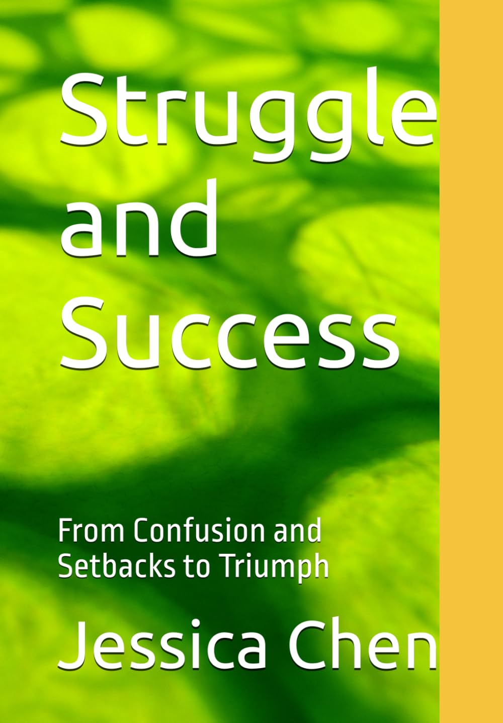 Struggle and Success: From Confusion and Setbacks to Triumph