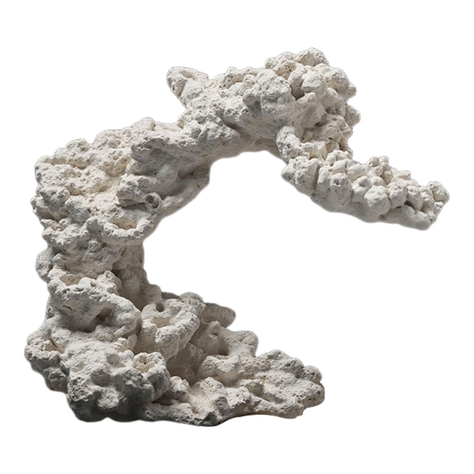 Anémone Ornement Céramique Aquarium Sculpture Abri Poisson Figurine Polyvalente pour Décor Paysager Convient à L'Élevage Décoration Intérieure, Style B