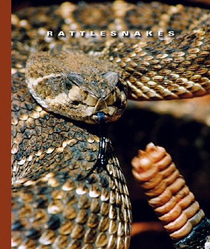 Book Rattle Snakes Rattlesnakes (The World of Reptiles, 1256): Lockwood, Sophie ...