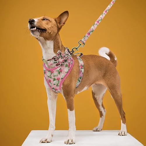 Miniatura 6 de Beirui Lindo juego de collares, arneses y correas para perro hembra, juego de collar y correa ajustable con flor, arnés de malla suave para