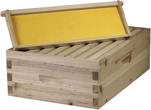8 Frame Medium Super Box w/Dovetail Joints Unassembled w/Frames and Foundations