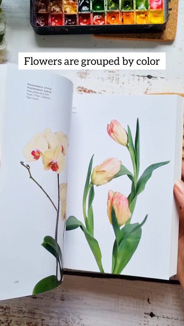 Watch Flower Color Guide Review on Amazon Live