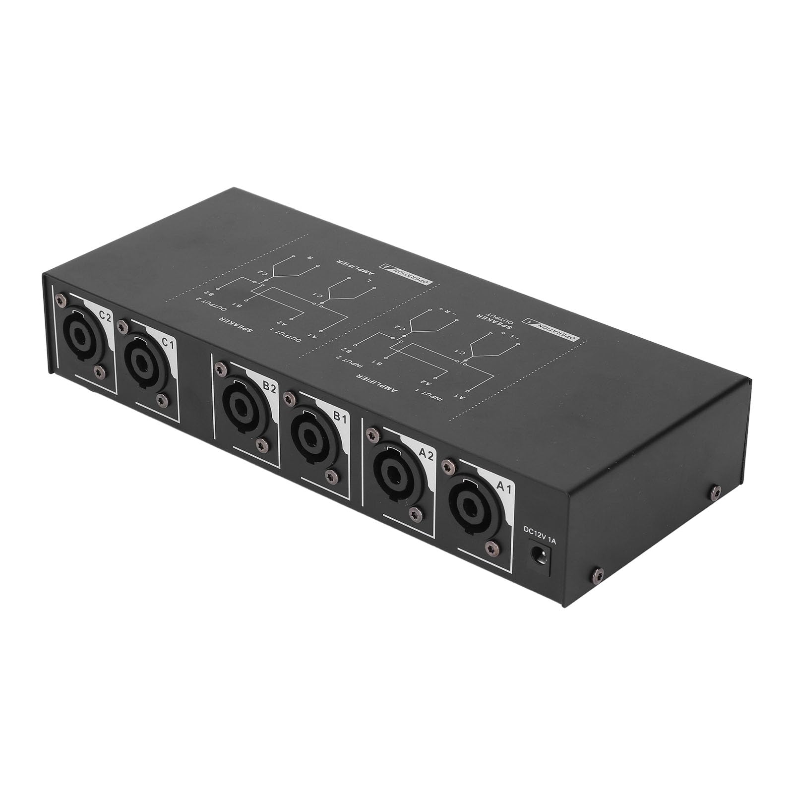Selettore Manuale per Altoparlanti a 2 Zone, Commutatore con Interfaccia XLR e Telecomando, per Sistemi Audio (Spina europea)