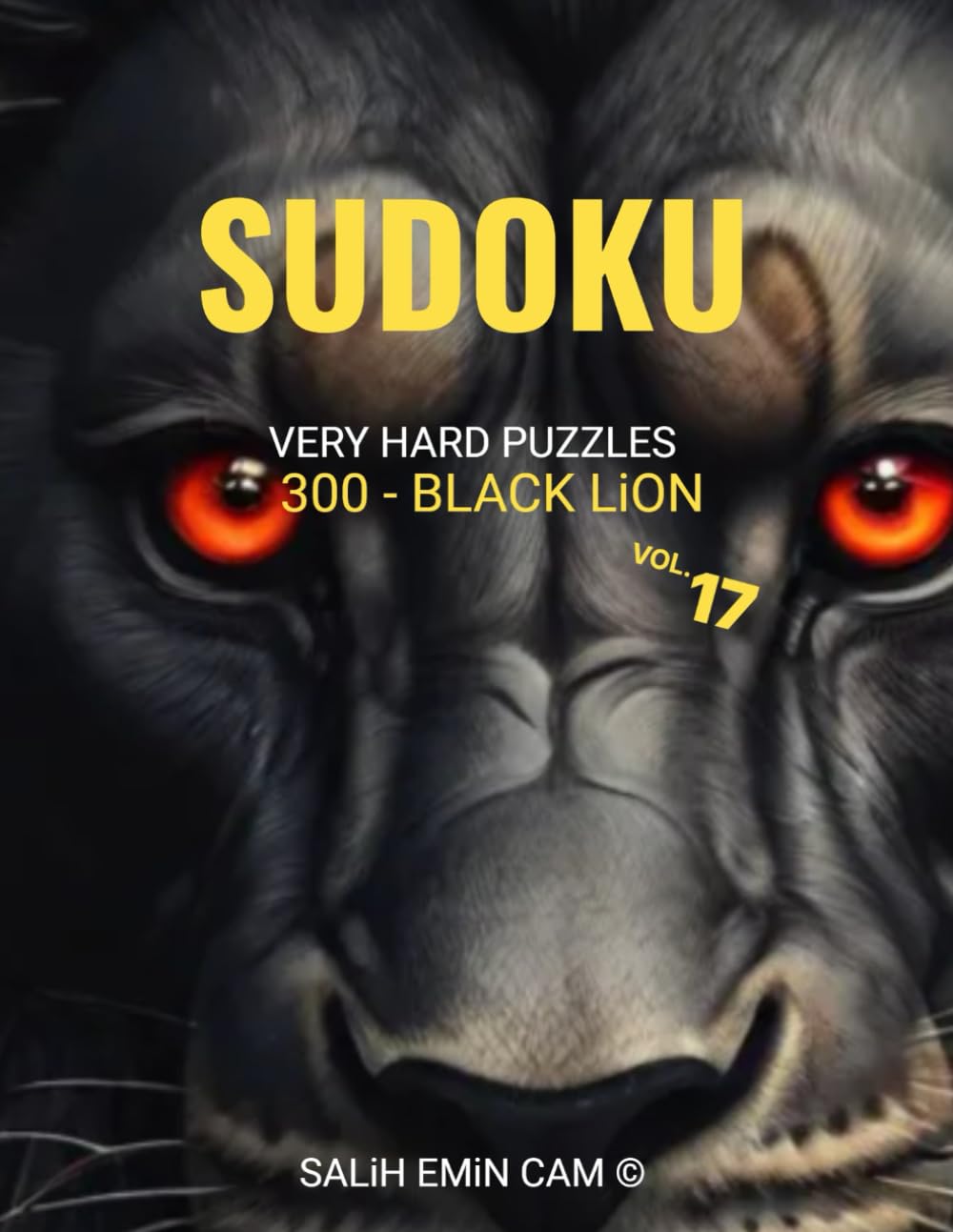 SUDOKU - VERY HARD PUZZLES: VOL 17