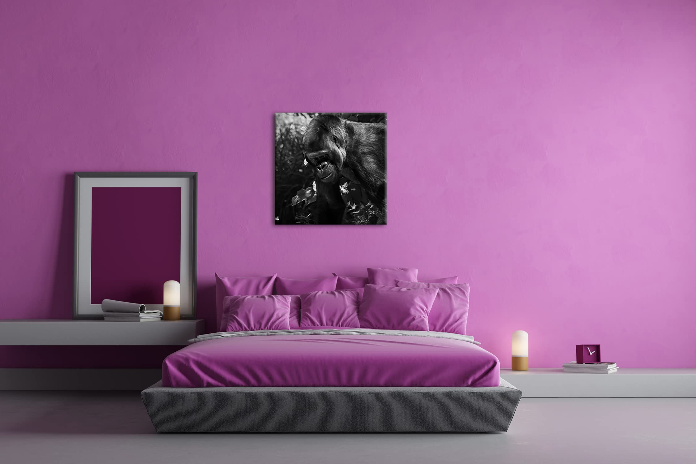 Grande formato Gorilla: 70 x 70 effetto: bianco e nero come tela su tela, motivo già incorniciato su cornice in vero legno, stampa digitale di alta qualità, senza poster o manifesto