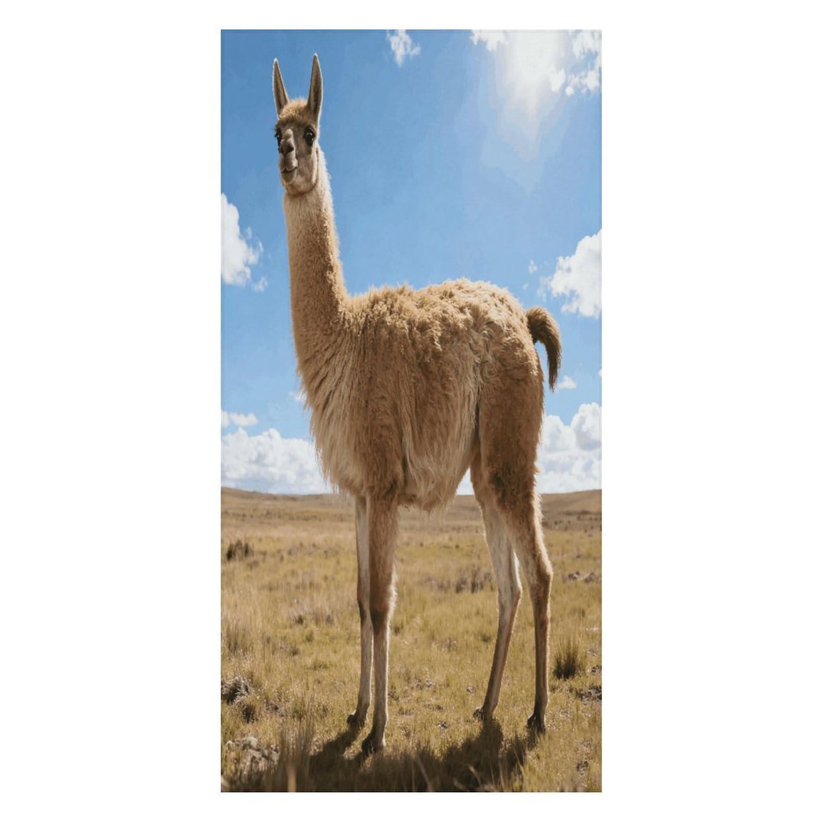 FekiLoot Llama Beach Towel Oversized Bath Towel Ultra Soft Pool Towel Cozy Swim Towel Silky Lounge Towel Quick Dry Travel Towel Gentle Absorbent Towel for Adults Women Men