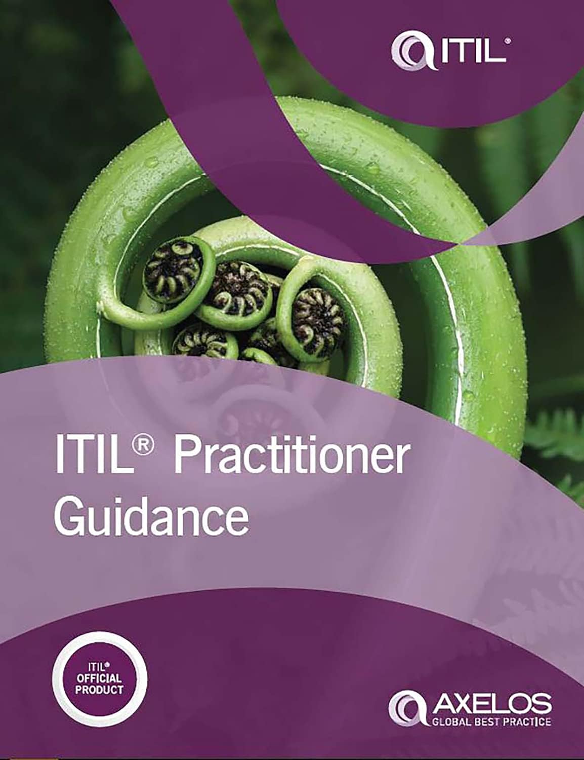 ITIL Practitioner Guidance Paperback – 25 Jan. 2016