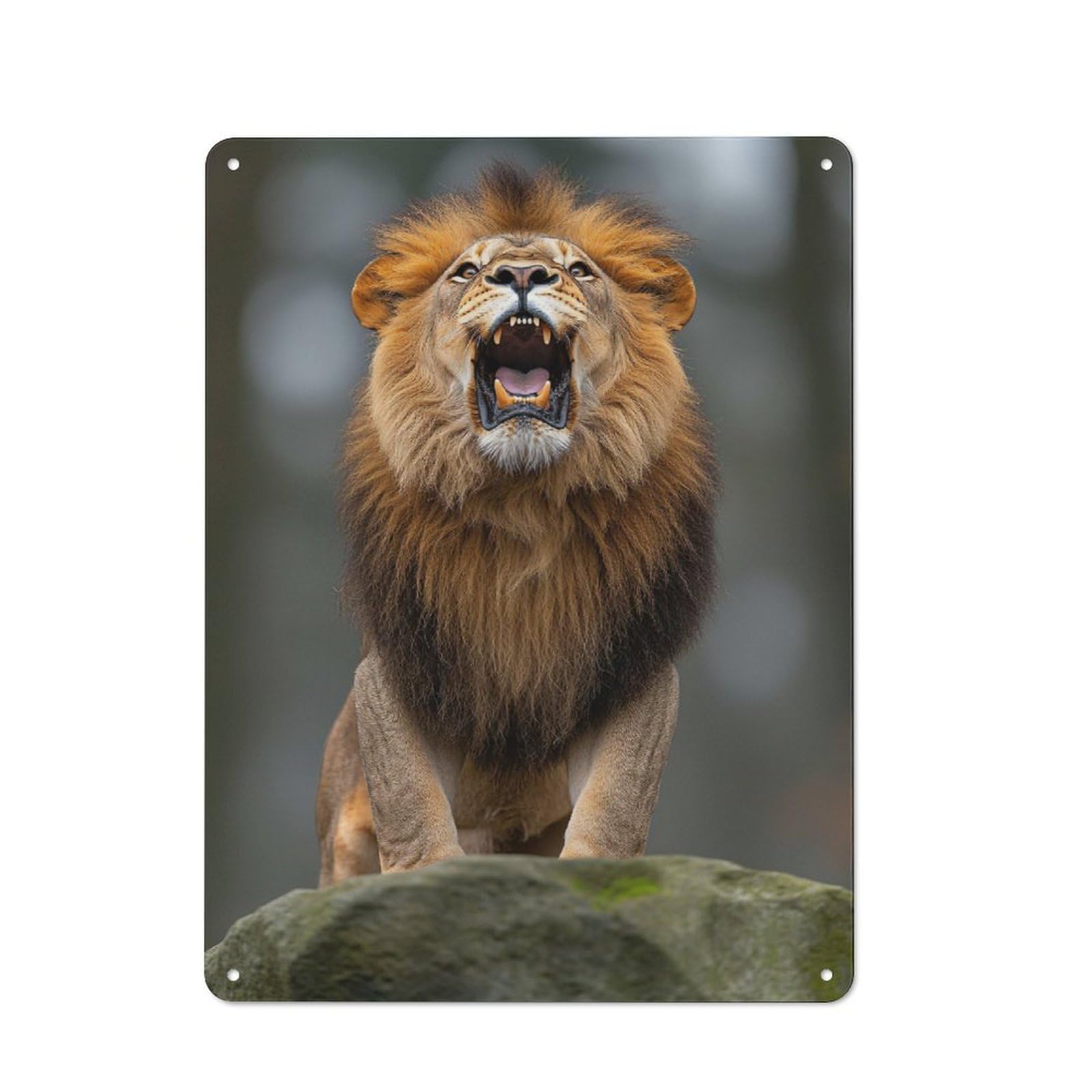 Junmoney Style-24 Tin Wall Plaque 40X30cm With Roaring Lion Portrait For Hallway Wall, Suited To Hallway Decor Lovers, For Retro Home Interiors