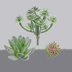 Conjunto de 3 plantas artificiais para decoração de mesa de escritório em casa, mesa de casamento, mesa de centro de mesa (combinação verde de suculentas)