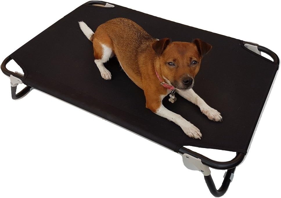 collapsible raised dog bed