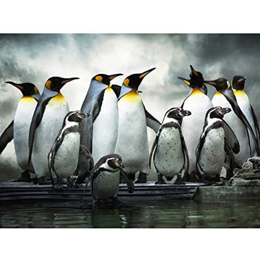 Wee Blue Coo Emperor Penguin Huddle Birds Antarctica Photo Art Large Art Print Poster Wall Decor 18x24 inch
