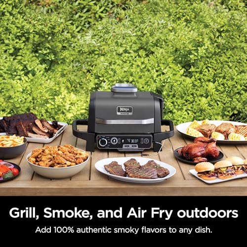 Ninja OG751BRN Woodfire Pro Outdoor Grill And Smoker thumb #1