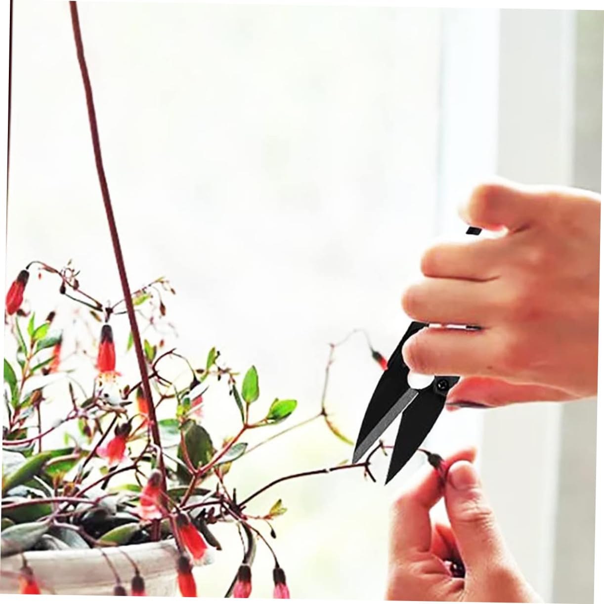 Supvox 60stücke Bonsai Scheren Präzise Gartenwerkzeuge Für Trimmen Von Und Bonsai Ergonomischer Griff Für Müheloses Schneiden Für Hobbygärtner Und Floristen