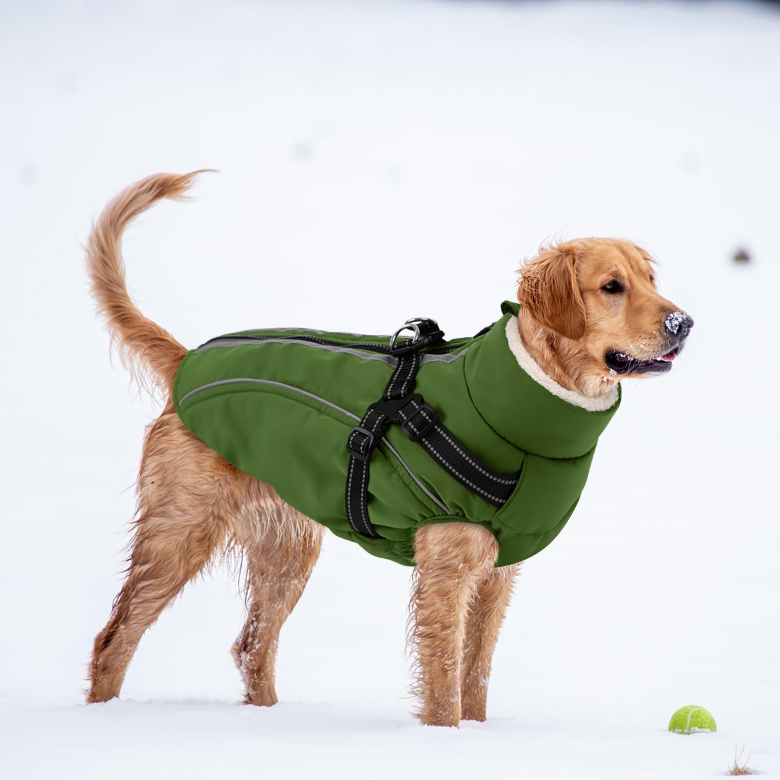 CITÉTOILE Cappotto Invernale per Cani Impermeabile - Giacca Termica Antivento con Foro Riflettente e Anello D, Adatto a Taglie Piccole/Medie/Grandi, Verde, XXL
