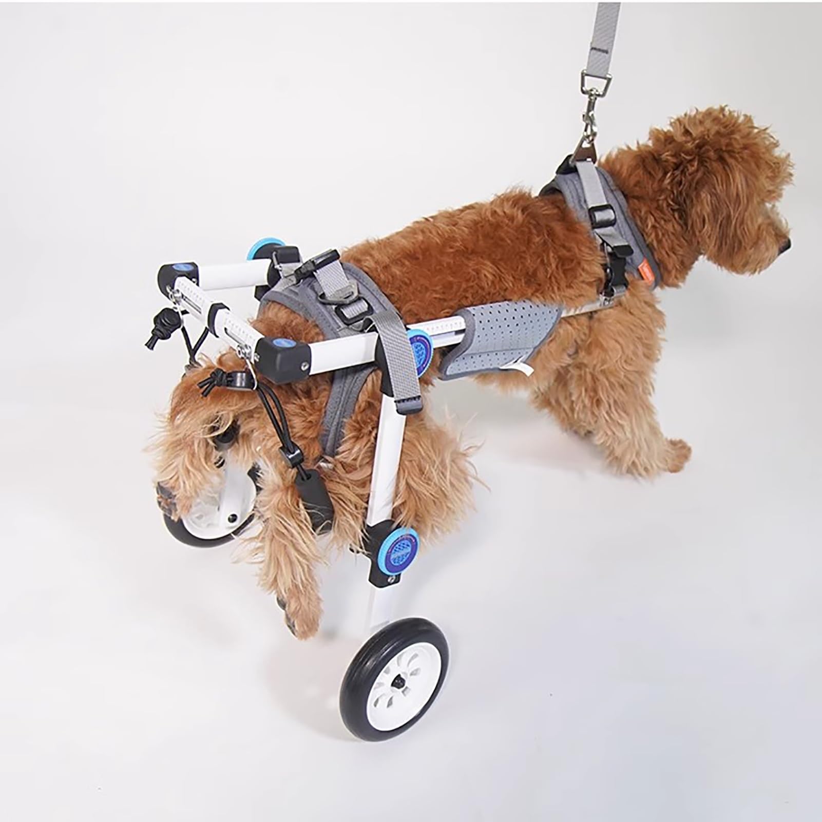 Silla de ruedas para perros con movilidad reducida, carrito ligero ajustable talla S