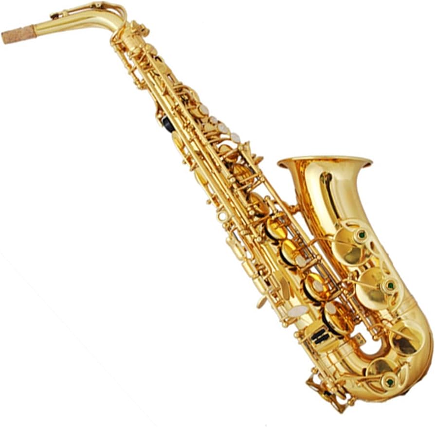 Amazon | アルトサックス楽器プロフェッショナルパフォーマンス