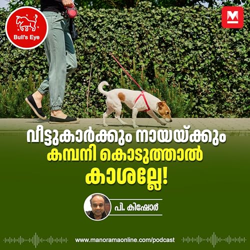 വീട്ടുകാർക്കും നായയ്ക്കും കമ്പനി കൊടുത്താൽ കാശല്ലേ?! | Pet Care Giving |Business Idea | New Business Idea | Bulls Eye | New Business Trend cover art