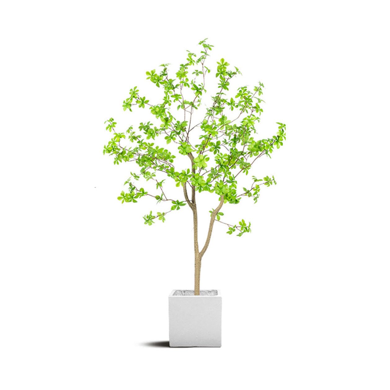 Amazon｜HGJH フェイクグリーン 大型 人工観葉植物 150cm 屋内 部屋  