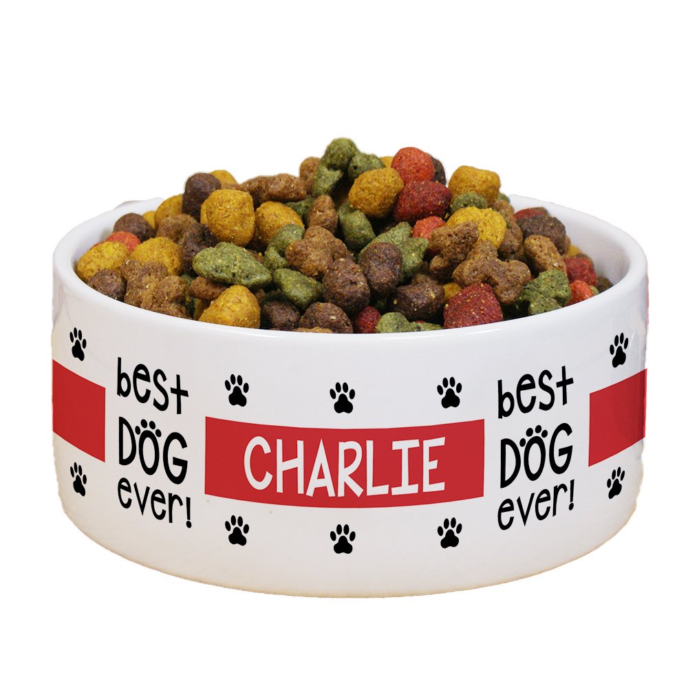 Whats The Best Dog Food In The World