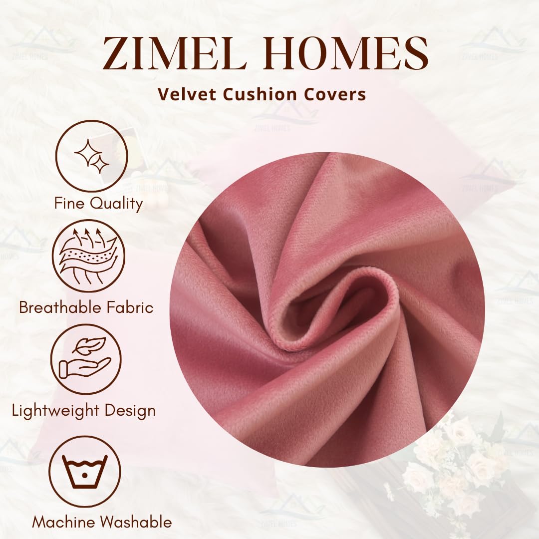View 5