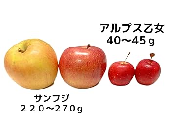 アルプスおとめ　「アップルストアーはりんご屋です 」ポスター５枚セット アルプスおとめ 「アップルストアーはりんご屋です 」ポスター5