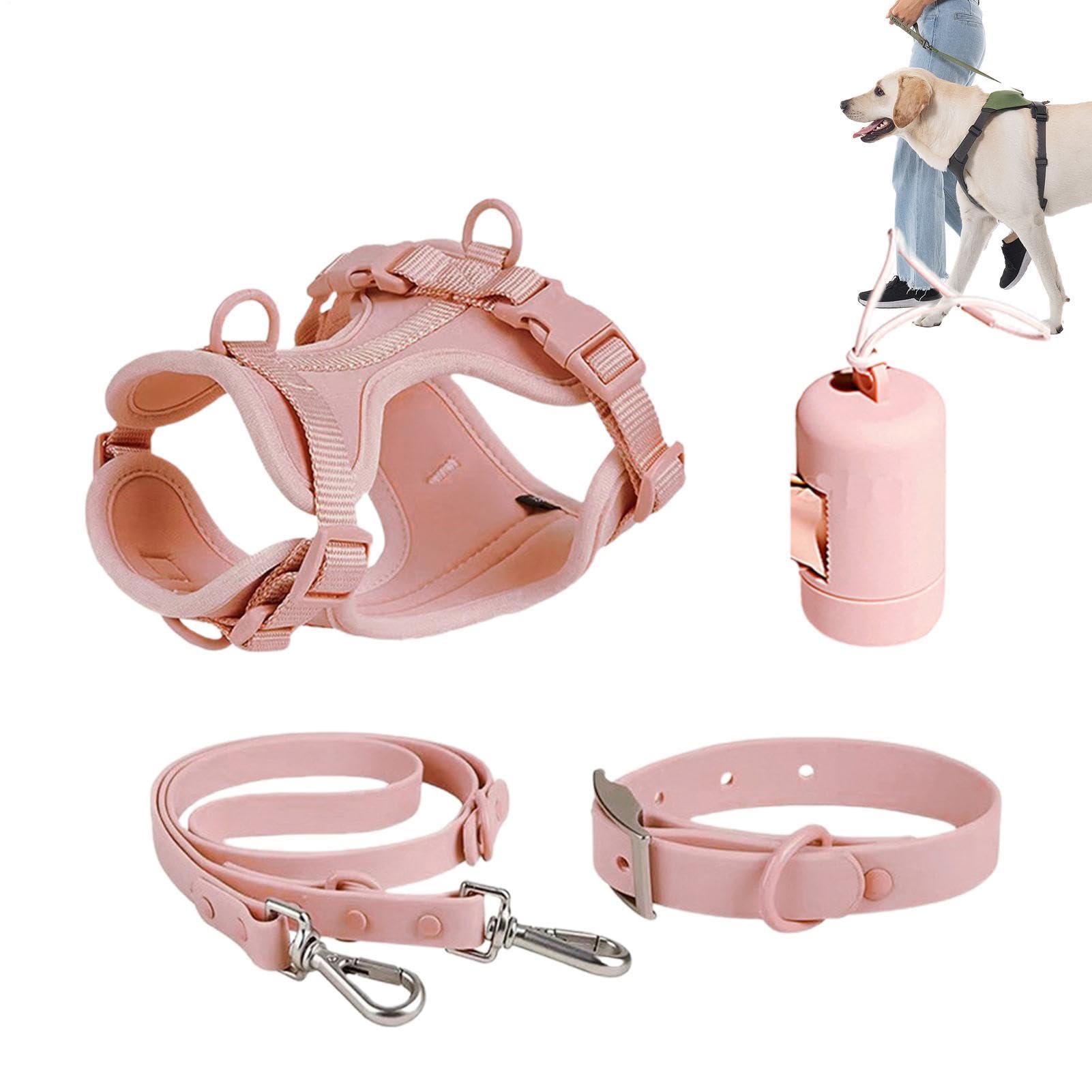 Hundegeschirr-Set für kleine Hunde, Hundeleinen-Set | Kein Zughundegeschirr | Kleines Haustiergeschirr-Set aus Halsband und Leine, verstellbare Hundewestengeschirre ohne Zug mit K